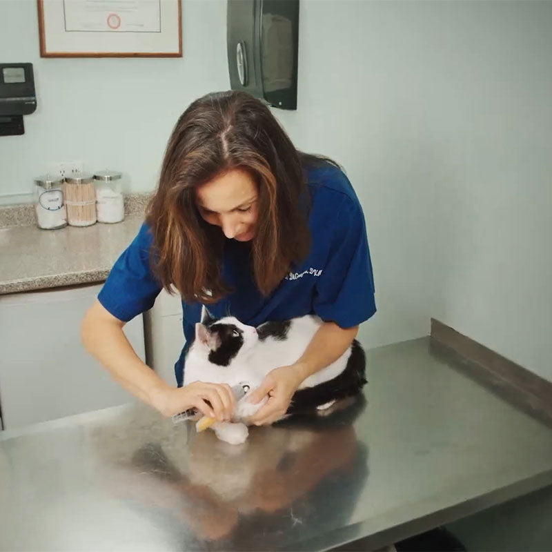Nagelknipper voor Honden met Veiligheidssensor | Ergonomisch Antislip Design | Professionele Verzorgingstool | Sansoti