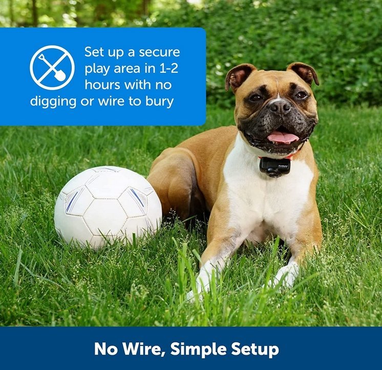 Wireless Dog Fence System with Adjustable Collar Invisible Boundary Safe Off-Leash Area Pet | Sansoti