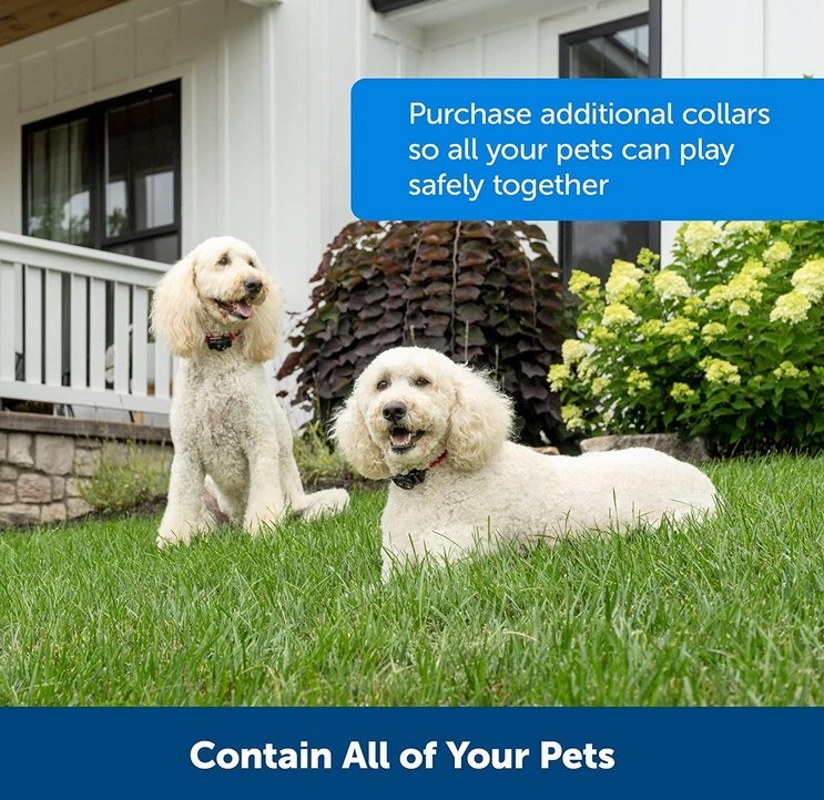 Wireless Dog Fence System with Adjustable Collar Invisible Boundary Safe Off-Leash Area Pet | Sansoti